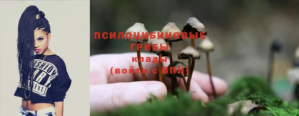 амф Алексин