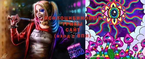 ALPHA-PVP Алексеевка