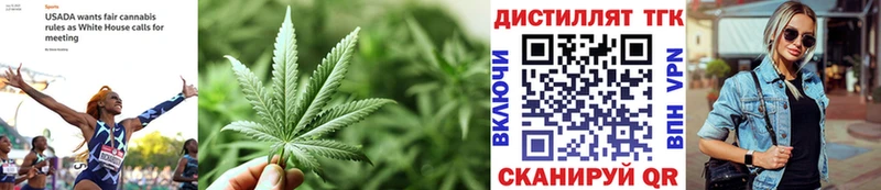 закладка  Зеленоградск  ТГК THC oil 